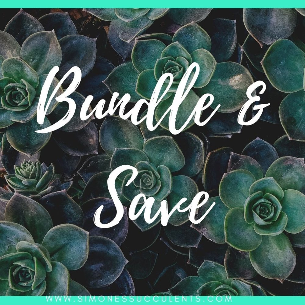 Private Bundle Discount